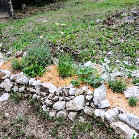Gorska Hiska Vogar Nad Bohinjskim Jezerom Exterior photo