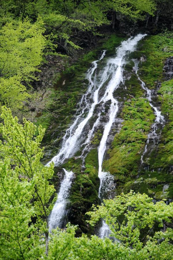 Gorska Hiska Vogar Nad Bohinjskim Jezerom Exterior photo